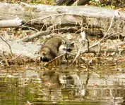 DSCN1704.webp
