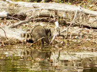 DSCN1705.webp