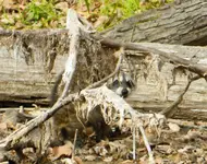 DSCN1709.webp