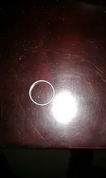 IMAG0013.webp