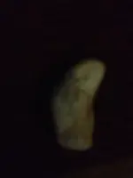 image-4161386016.webp