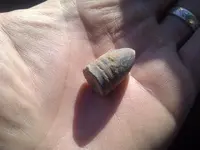 IMG-20121101-00072.webp