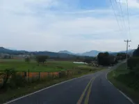 008.webp