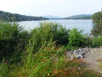 009.webp