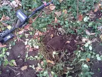 IMG_20121022_161525.webp