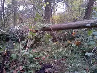 IMG_20121022_161758.webp