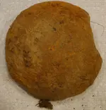 Cannonball (5).webp