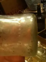 image-3206384621.webp