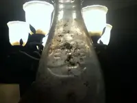 image-4224551831.webp