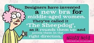 image010.jpg true.webp