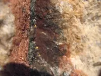 rocks 048.webp