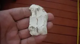 DSCF0182.webp