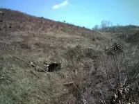 DSCF0035.webp