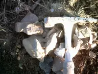 DSCF0001.webp