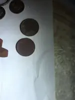 image-3138289356.webp
