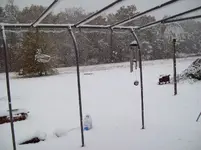 11-7-12 Nor'easter.webp