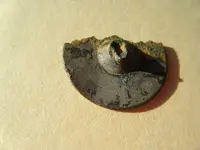 P patch buttons 008.webp