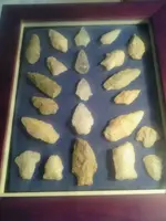 IMG-20121103-WA0000.webp