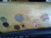 20121101_155534.webp