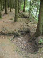 Fox Holes.gif