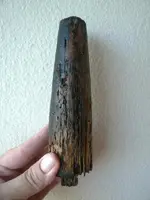 P1110646 c.webp