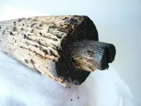 P1110645 c.webp