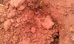 IMAG0229.webp IMAG0229.webp