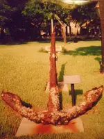 indian river shores anchor.webp