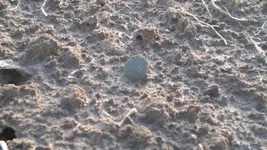 3 055_800_450.webp