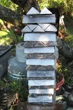 DSCF0807.webp
