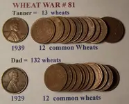 wheat war 81.webp