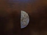 Metal Detecting 486.webp