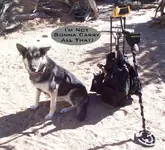 gear-dog-sz-1.webp