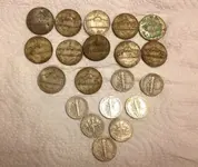 silver rev resized.webp