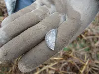 SC92912_silver.webp