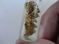 gold gift.webp