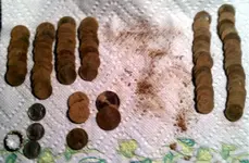 Coins.webp