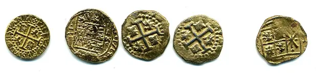 gold cobs-2.webp