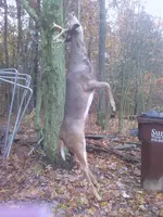 IMG_20121020_104239.webp