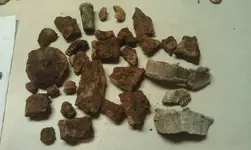 9-29-12shellfrom1hole.webp