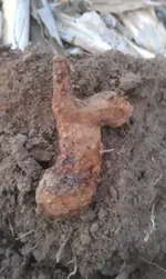 9-29-12hammer.webp