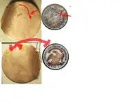 cap.webp