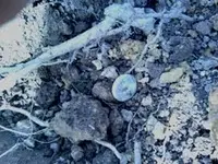 In da dirt!.webp