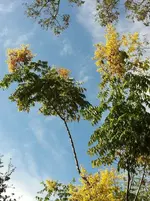 311175_2412177361556_1385794592_n.webp
