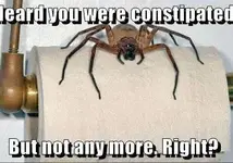 22725_431329966923432_1225925645_n.webp