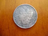Silver dollar small.webp