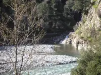 Followscampnewriver2.webp