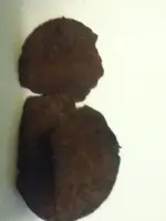 image-3209431894.webp