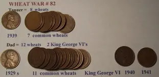 wheat war 82.webp