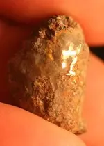 NH FINDS 10-10 017.webp